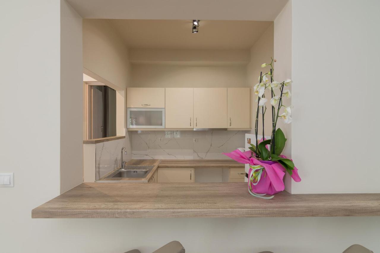 Apartmán Renovated Panorama Loft: Athens Terrace Gem Exteriér fotografie